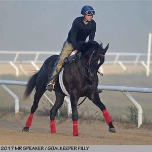 Meet your Posher, Will